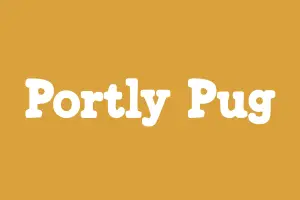 Mix Portly Pug